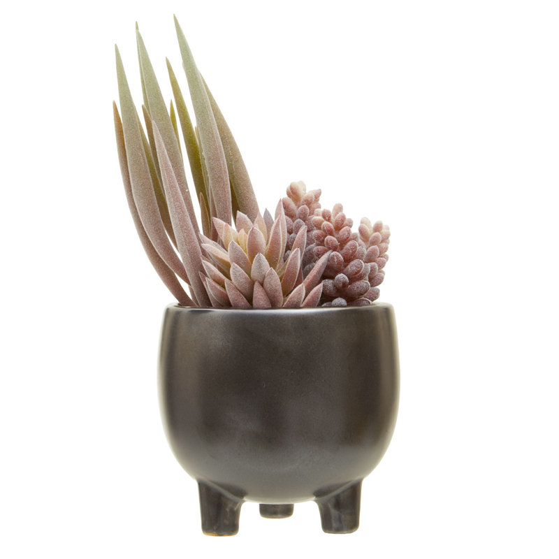 25cm Faux Succulent in Ceramic Pot