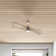 Safford 56'' Ceiling Fan with LED Lights