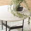 Akeila Trestle Coffee Table