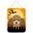 Caniche (brun)
