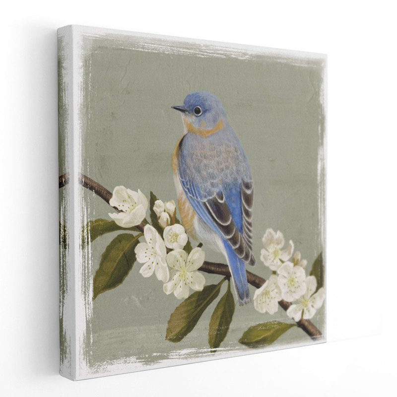 Bluebird Branch II - reproduction d'art sur toile, H 30 po x l 30 po