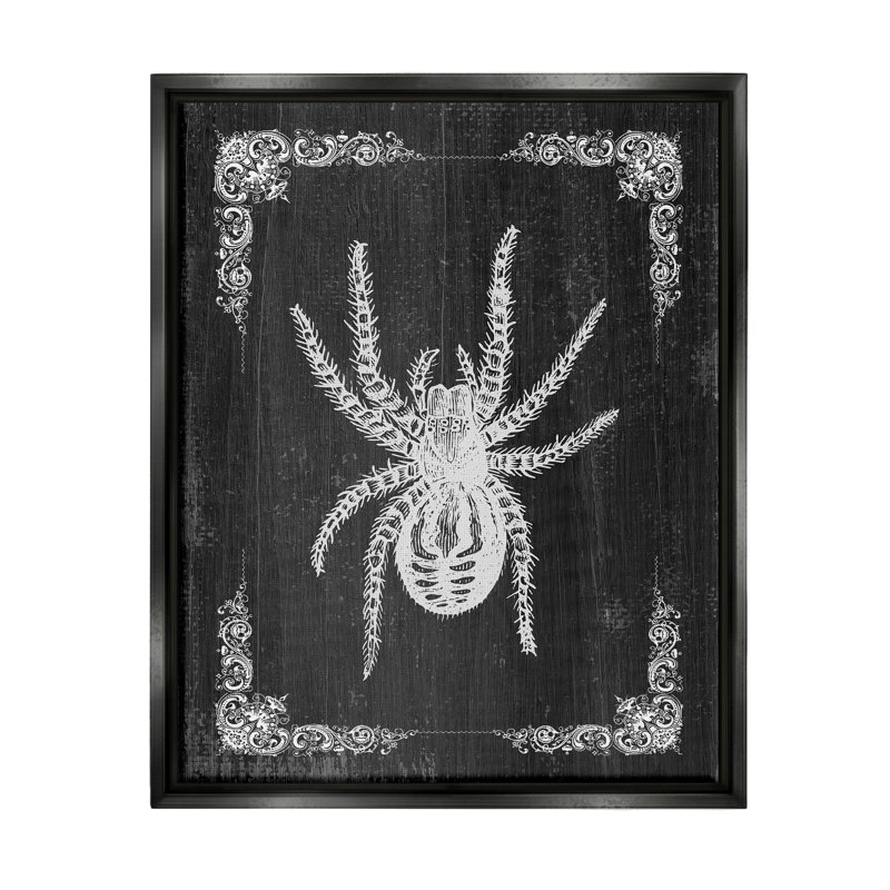 «Black & White Spider» encadrée sur bois par Lil 'Rue, impression, Cadre flottant noir de jais, H 21 po x l 17 po x P 1,7 po