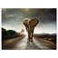 «Single Walking Elephant», reproduction de photo sur toile tendue-33267641-23975728