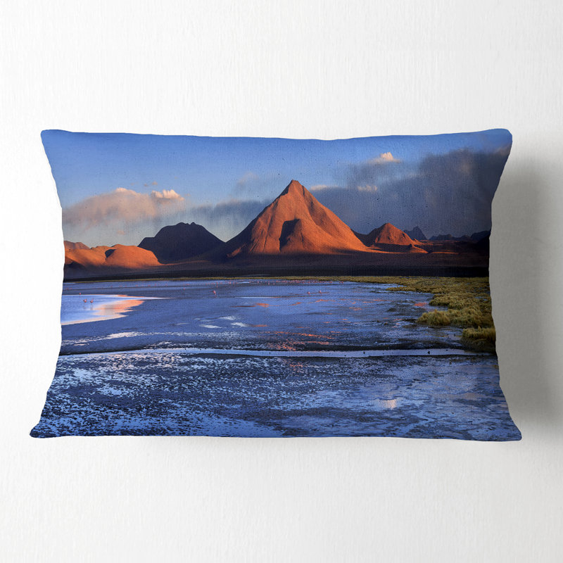 Coussin lombaire Schaab