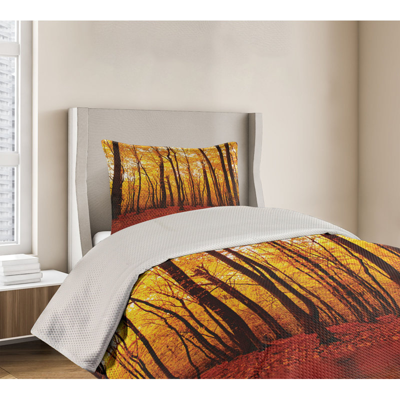 King Size Autumn Forest Quilted Bedspread Set in Brown and Orange