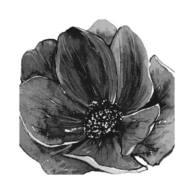 Ellie Black And White by Art Mirano - Wrapped Canvas Painting
