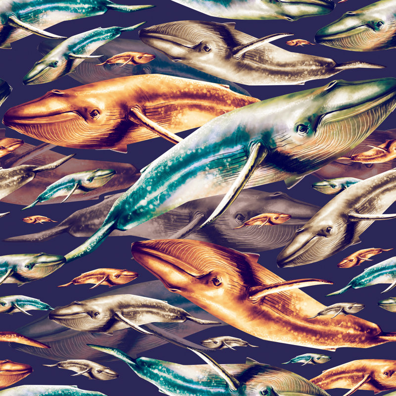 Whale Pattern - Wrapped Canvas Print, 91cm H x 91cm W x 3.8cm D