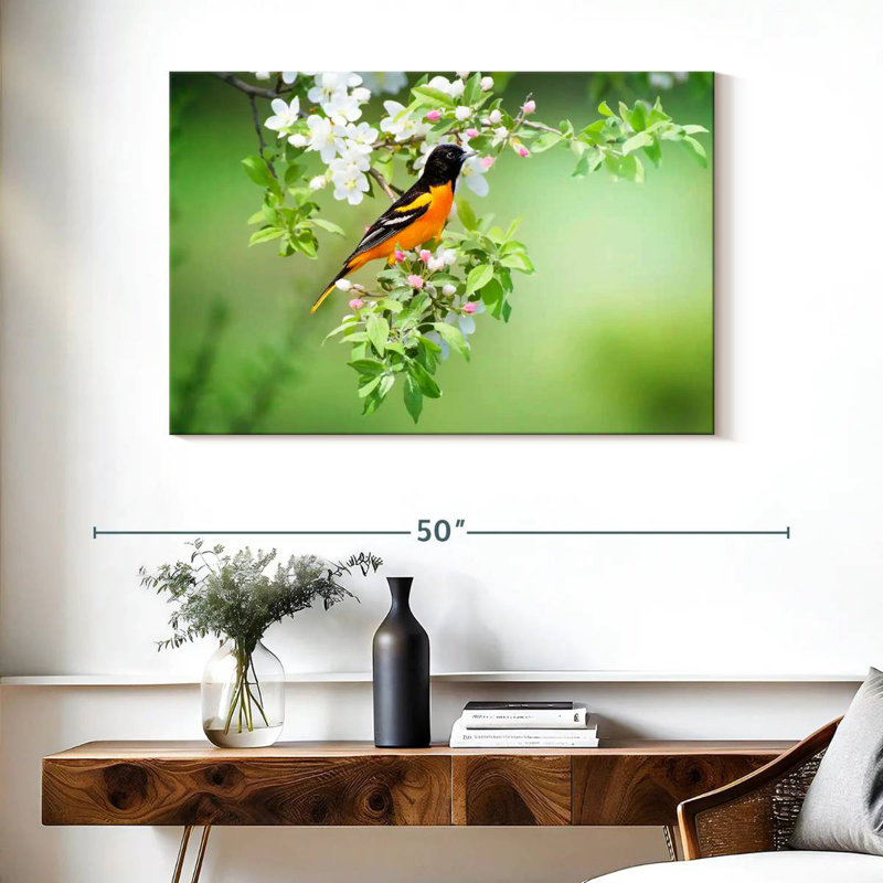 Brampt Oriole, 26" H x 39" W