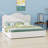 Contemporary Upholstered Platform Bed