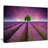 " 'Lavender Field Sunset With Single Tree "-19412260-33309492
