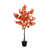 Rustic Orange is unavailable