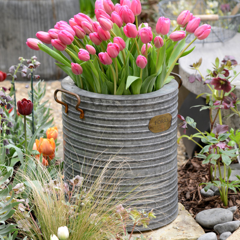 Vintage Plant Pot, 44cm H x 35cm W x 35cm D