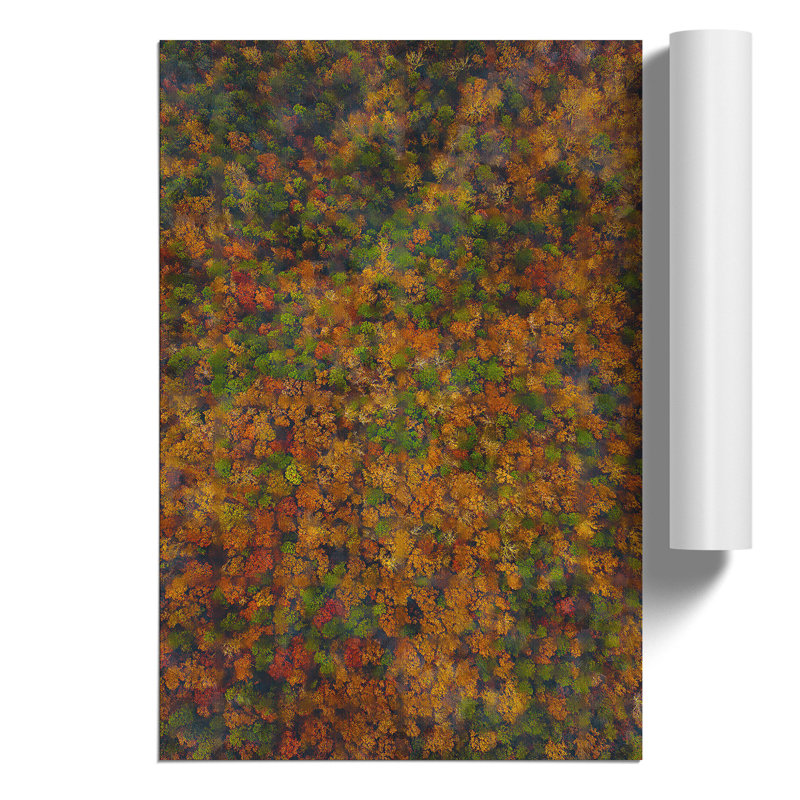 Thousands of Trees Painting - Frameless Print, 59cm H x 42cm W x 0.1cm D