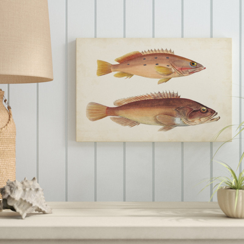 Antique Fish Species II - Painting Print, 30cm H x 46cm W, Wrapped Canvas
