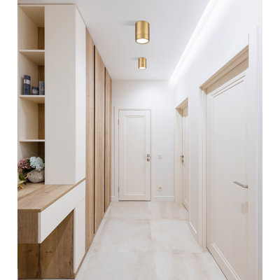 Jaylanis Acrylic LED Flush Mount