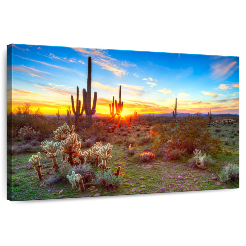 Harnek, désert, cactus, rayon de soleil, H 16 po x l 24 po
