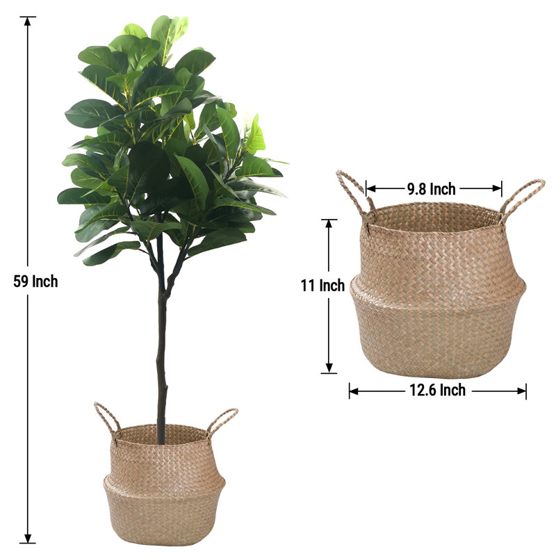 Pot à fleurs en figuier et figuier, H 19,69 po x l 59,06 po x P 19,69 po
