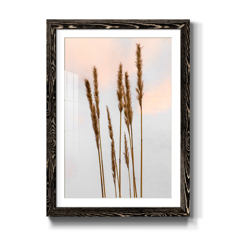 Zen Succulent III - impression, H 31,5 po x l 23,5 po x P 1,5 po, Noir