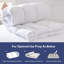 Surmatelas 3,5 po Bangura Alwyn Home-536297302