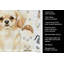 Serviette de cuisine Coffee Bar-1234934594