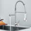 Belfry Kitchen Keenes Pull Down Kitchen Faucet