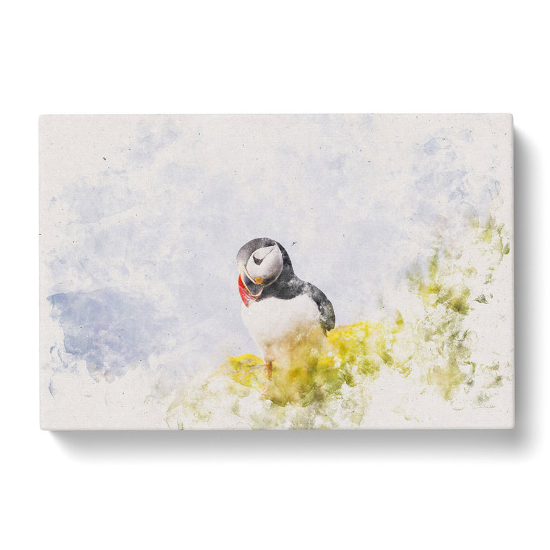 Lone Atlantic Puffin - Wrapped Canvas Print, 40cm H x 60cm W x 3cm D