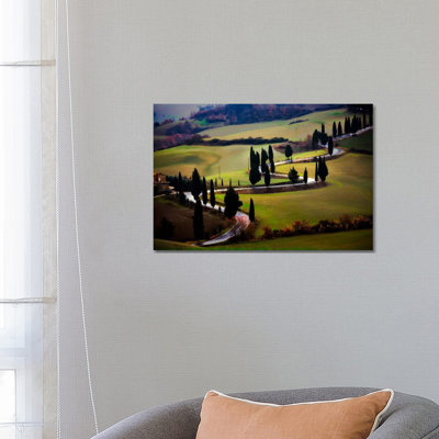 Tuscan Serpent, Tuscany, Italy by Jim Nilsen - Wrapped Canvas Print