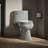 Cimarron 1.28 GPF Water Efficient Elongated One-Piece toilet (Seat Included)-17639570-101430146