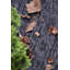 Ensemble de tapis intérieur / extérieur en nylon touffeté à la machine Dannika-28726330