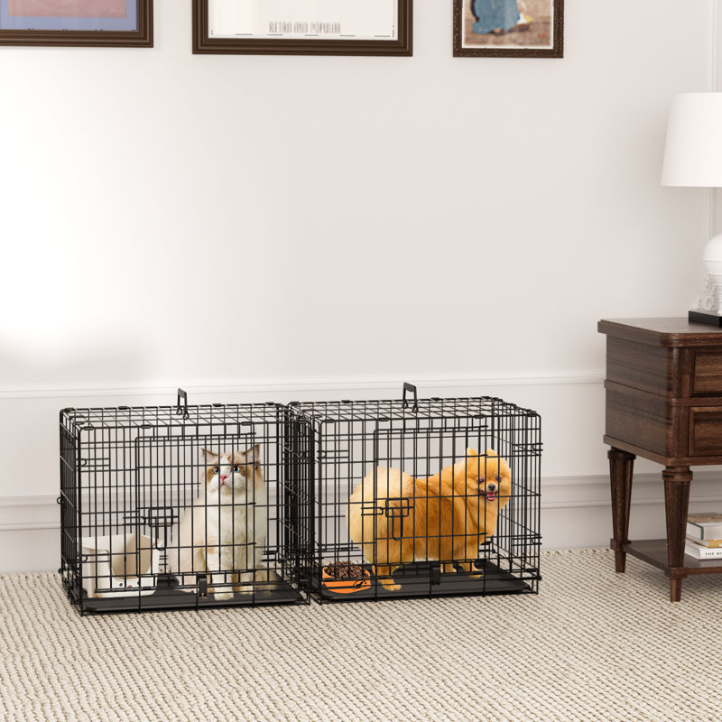 Cage pliante en métal pour chien, Petit (H 19,5 po x l 24 po x P 17 po)
