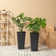 Amimma Tall Planters, 2 Set Large Rectangular Tall Planters for Outdoor Plants