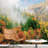 Aerial View Autumn Forest Tree-88769787