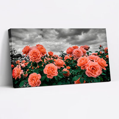 «Rose Garden», ensemble de 1 reproduction d'art sur toile tendue