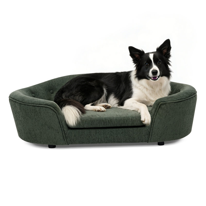 Canapé ovale pour chien, canapé pour animal de compagnie avec dossier capitonné, Olive Green