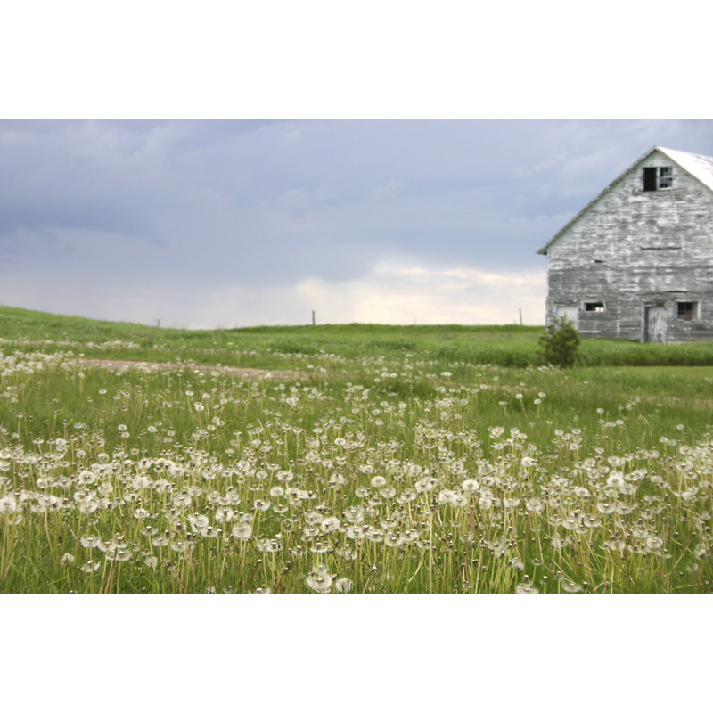 Barn Scape II, H 32 po x l 48 po x P 1 po