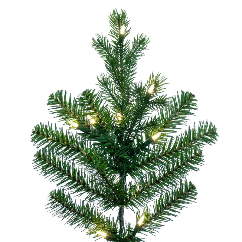 Eagle 10' H Lighted Artificial Fir Christmas Tree