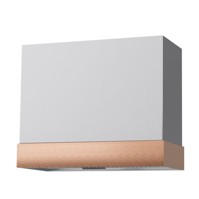 Akicon Stainless Steel 600 CFM Ducted (Vented) Wall Mounted Required Range Hood