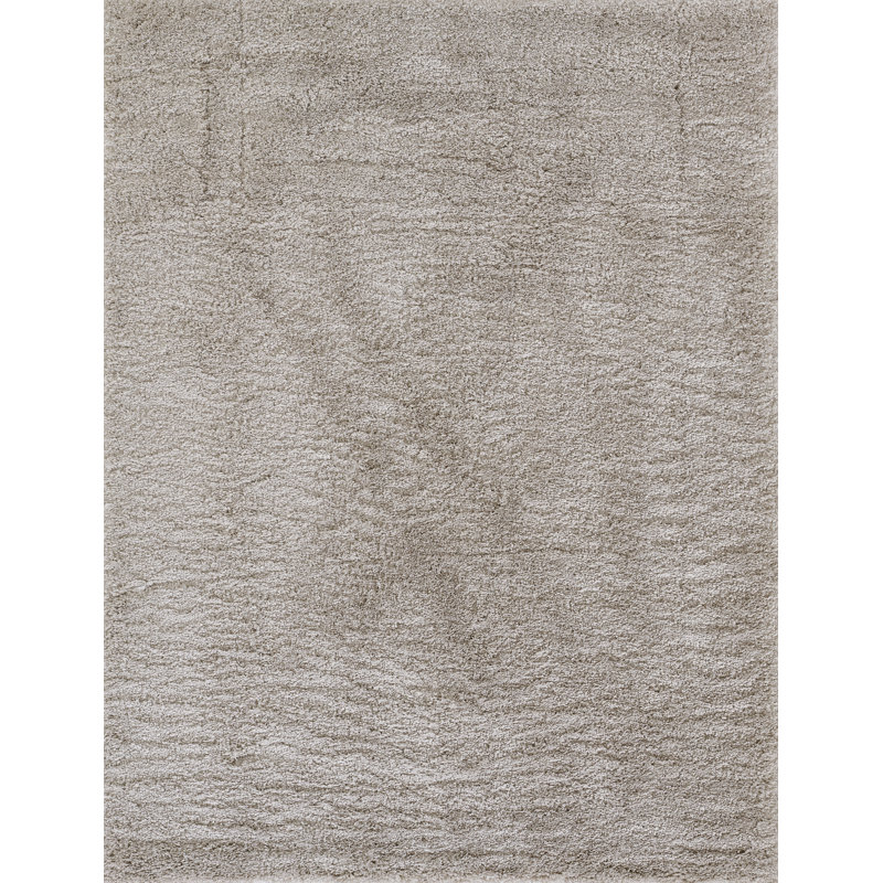Nola Shag Indoor Rug, Rectangle 7'10 x 10'