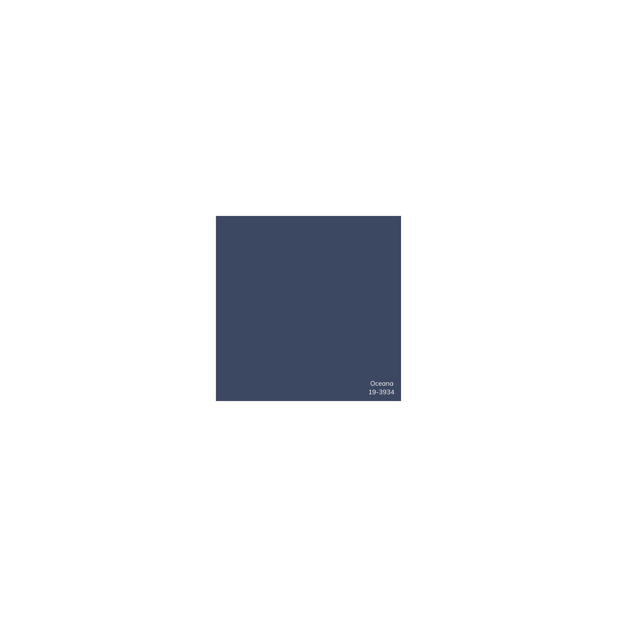 Edgar 100% Cotton Throw Pillow, Down, Navy, 22"H x 22"W