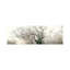Octopus Ghost Oak by Philippe Manguin - Panoramic Print on Canvas-1371839969-1371839970