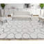 Wool Geometric Area Rug