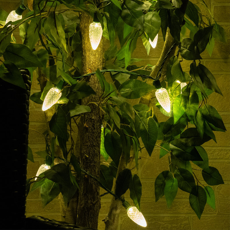 C9 LED Christmas String Light, Warm White, 17' L, 25