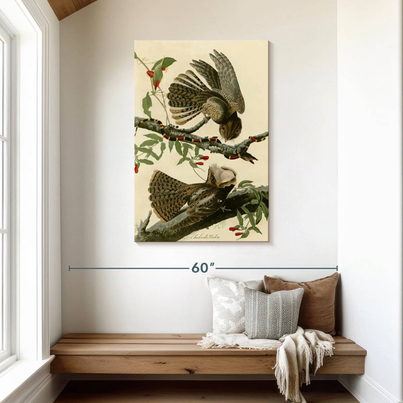 Brampt Chuck-Will's Widow, 45" H x 30" W