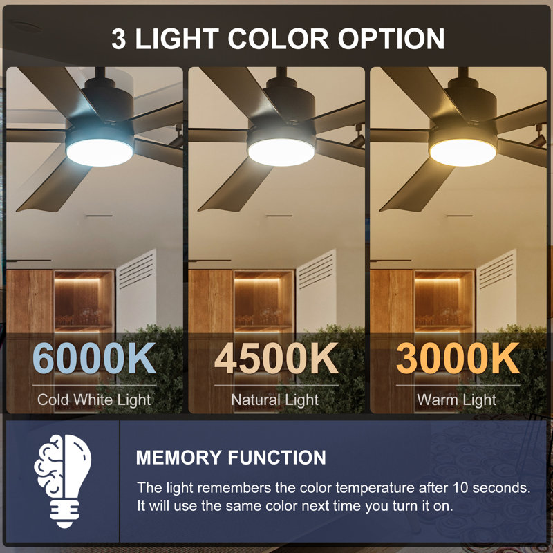 Raguel 52" 5-Blade Downrod Ceiling Fan with LED Light and Remote Control, Matte Black