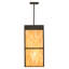 4 - Light Pendant
