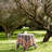 Pansy Tablecloth-107096557-15215595