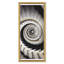 Scale A Chiocciola Giclee Print by David Phoenix