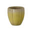 CREST PLANT, NEIGE-1178832788-1178832793