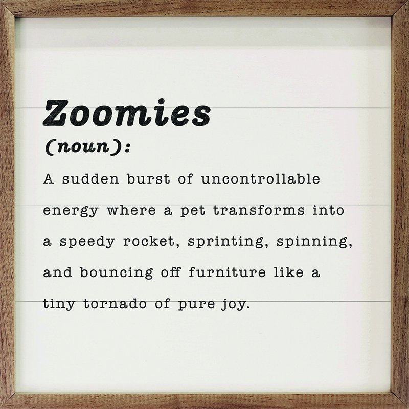 Zoomies Définition, H 8 po x l 8 po, Blanc