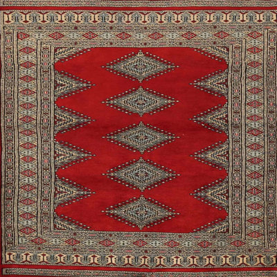 Oriental Indoor Rug